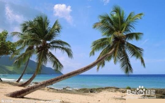 如何在小海岛上生存？