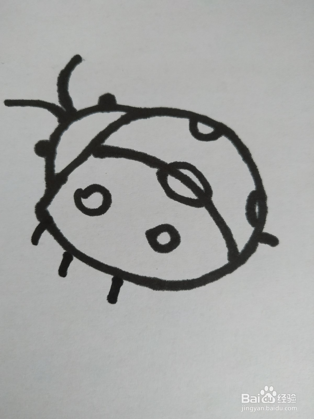 瓢虫的简笔画技法3