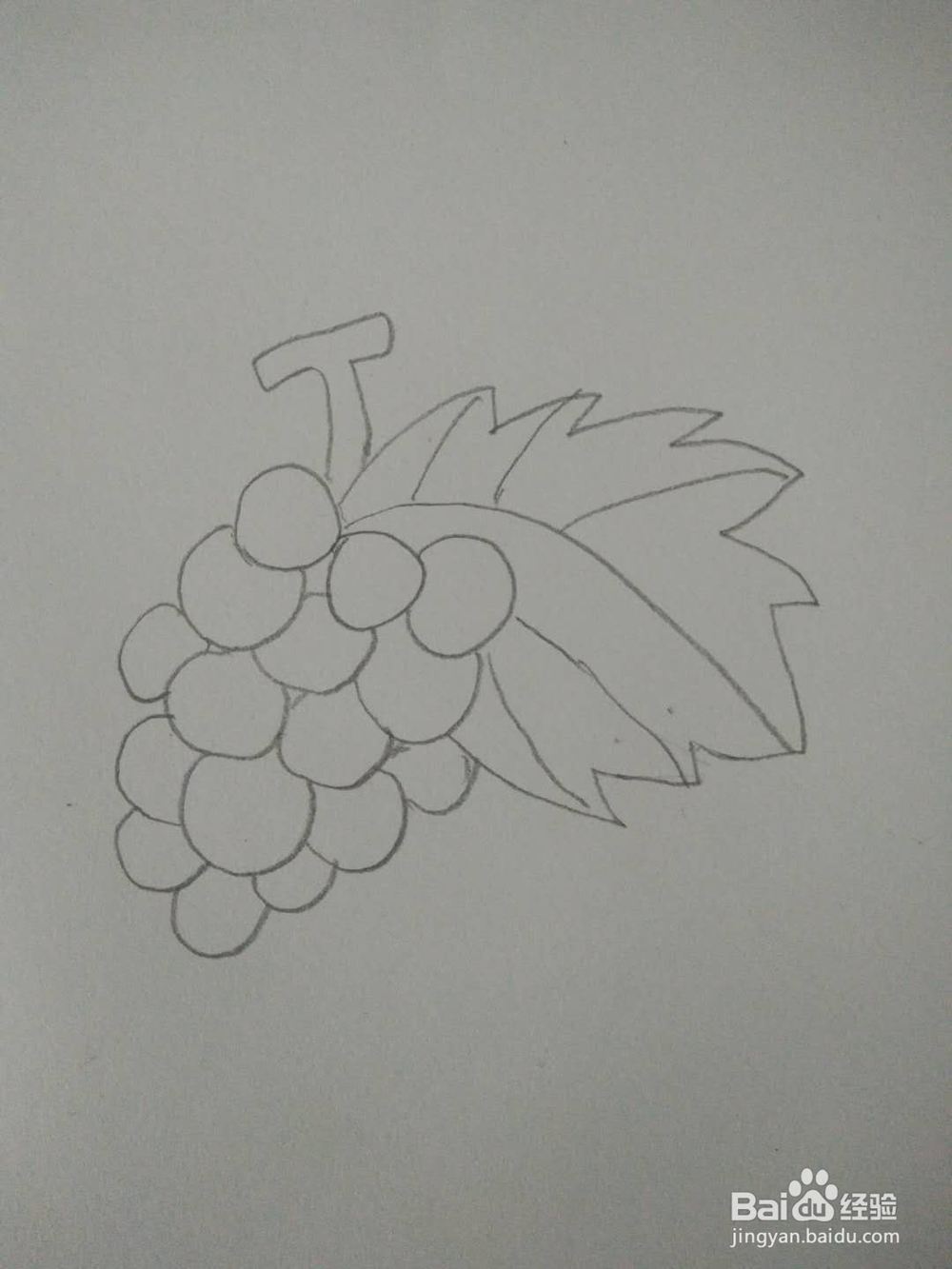 如何画葡萄的简笔画
