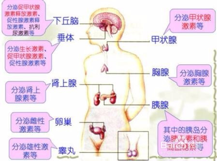 脱发怎么办?几个经验让头发浓密