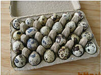 日式溏心卤鹌鹑蛋