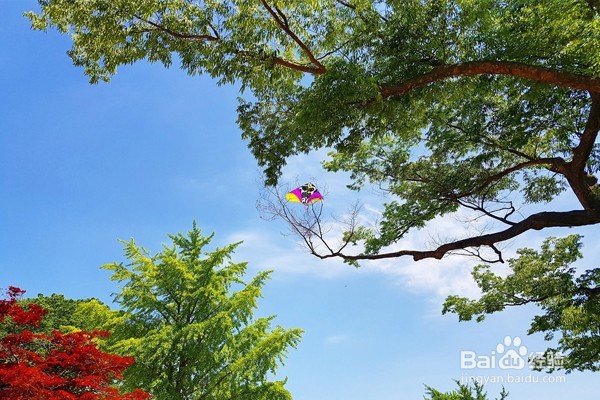 韩国游瑞山佛系城市攻略