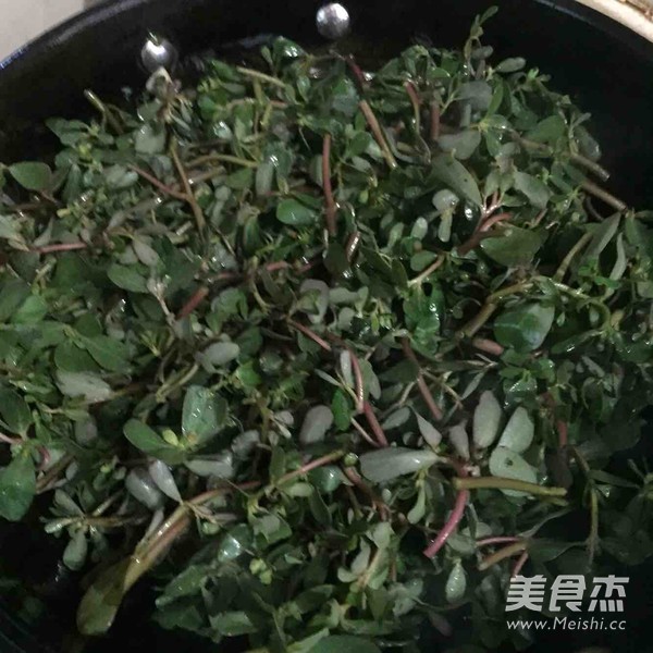 素炒马齿苋的做法