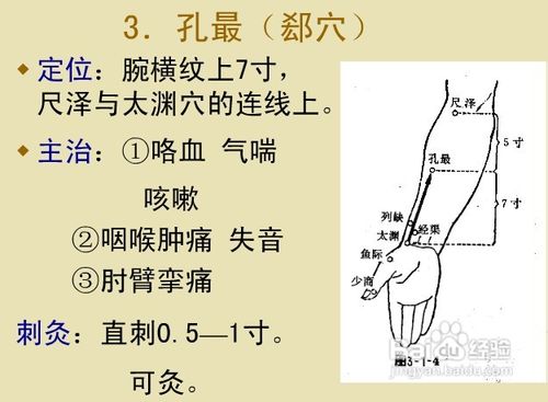 中醫經絡知識之手太陰肺經圖解