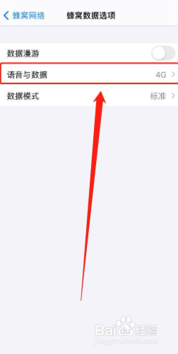 iphone12如何设置5g