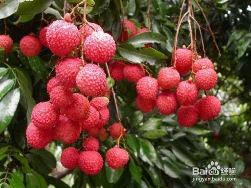 哪几种食物一定不能空腹吃