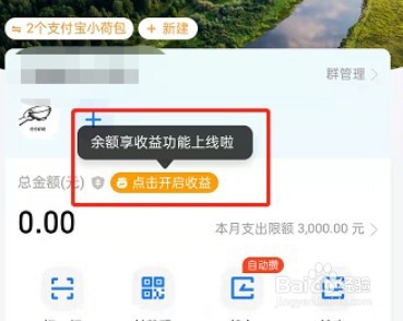 支付宝小荷包开启收益方法分享
