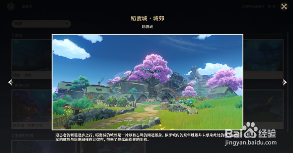 原神稻妻观景点位置汇总