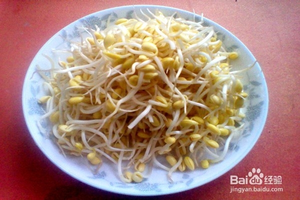 红甜椒炒黄豆芽-------营养美味