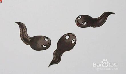 怎么画小蝌蚪在水里游