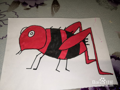 我们今天来画一只跳蚤,画法简单易学,准备纸和笔开始吧.