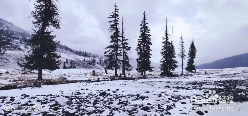 喀纳斯冬季五天旅行指南