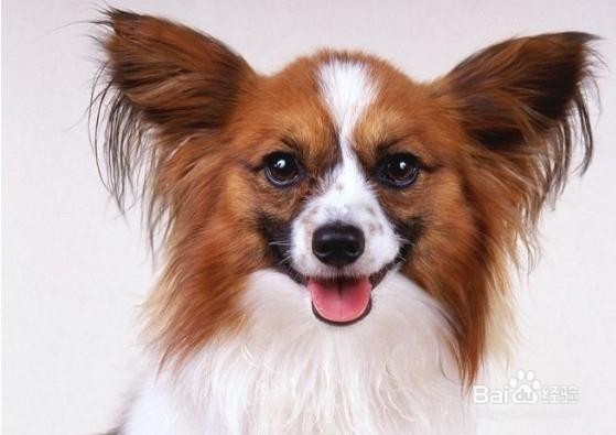 关节置换后怎样康复锻炼