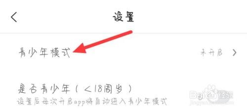 米读极速版在哪开启青少年模式？