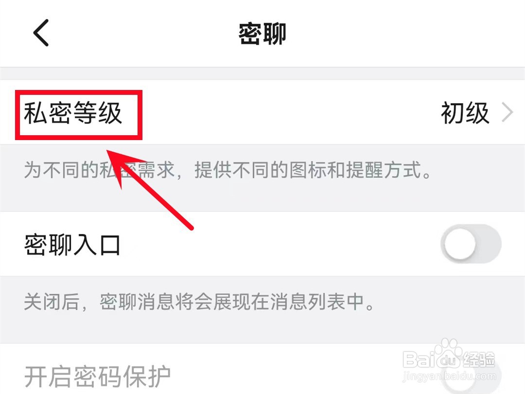 怎样设置钉钉密聊私密等级