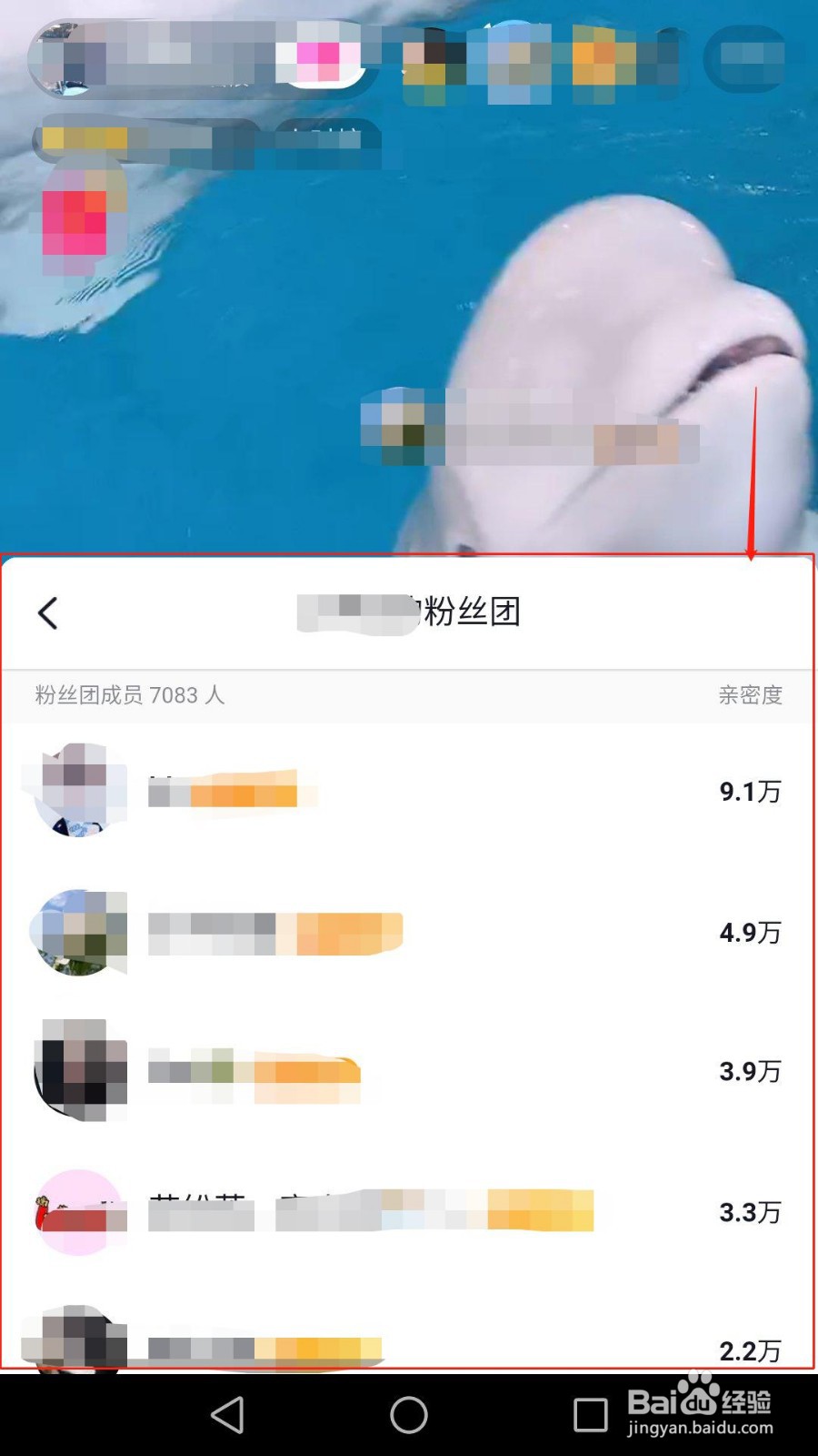 抖音怎么加入粉丝团