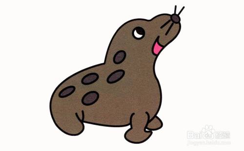 彩色可爱小海豹的简笔画