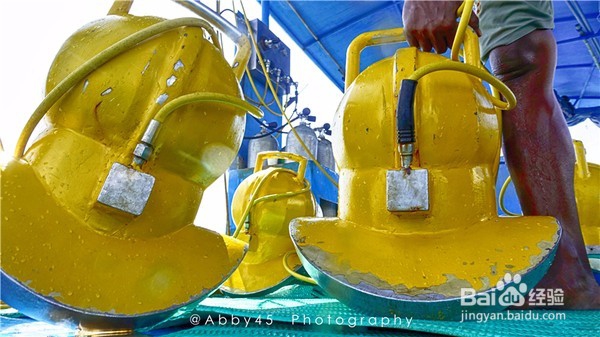 春游阳光巴厘,躲避冷冻的春天。