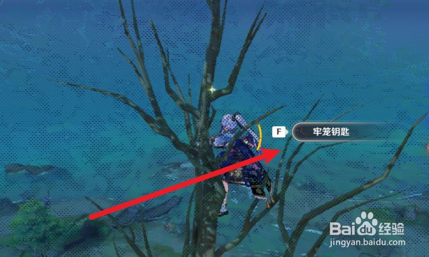 原神牢笼钥匙在哪里
