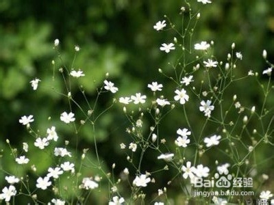 大四已保研同学如何规划好自己的大四生活？