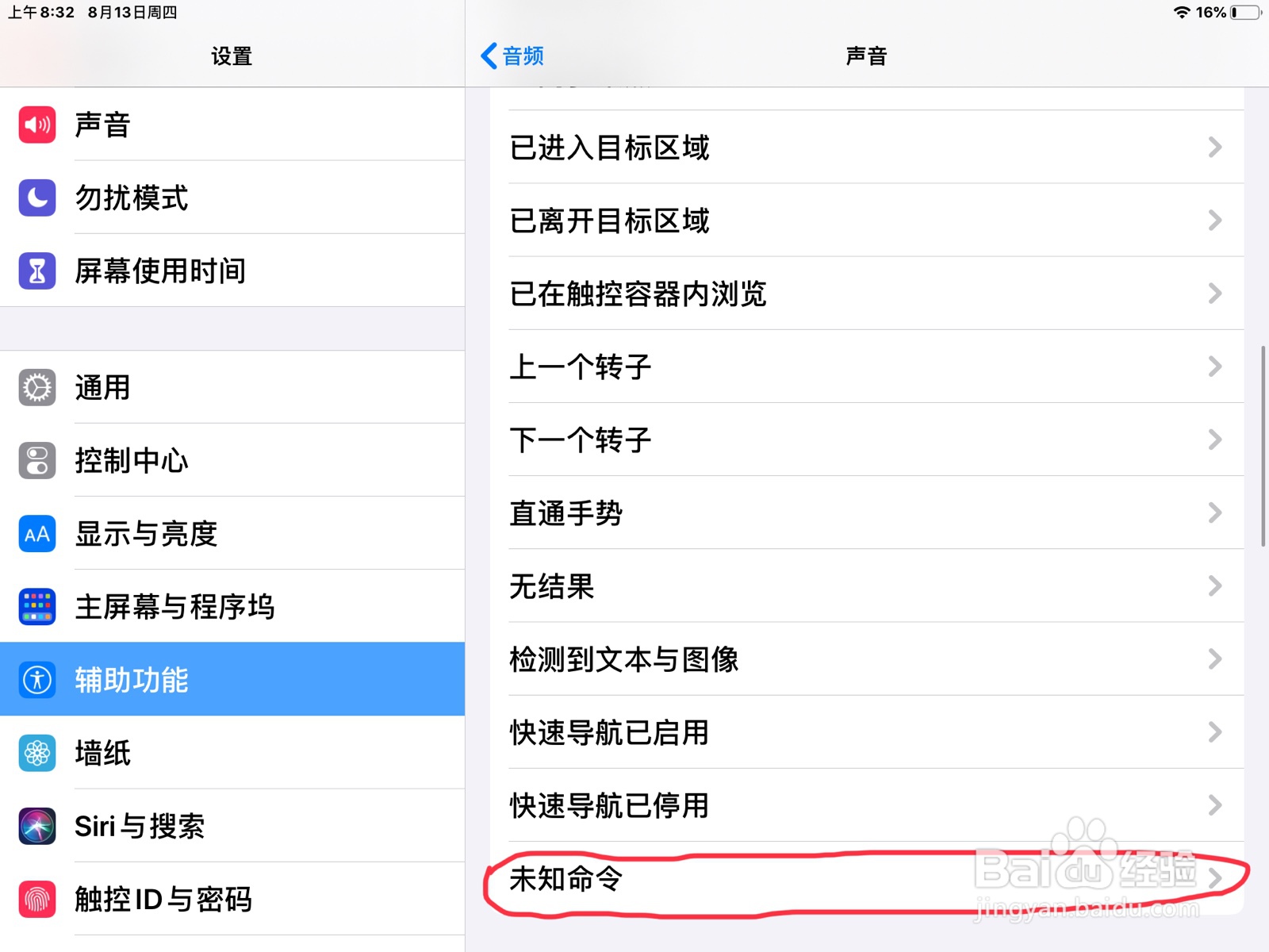 iPad怎么在旁白设置未知命令的预览