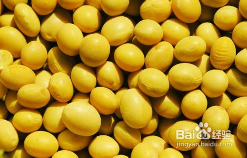 适合男性多吃的六种食物