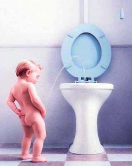 人的尿液成分都有什么