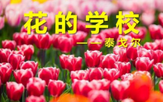 雨一来，他们便放假了是什么修辞手法