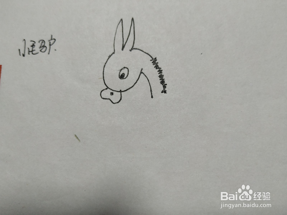 小毛驴简笔画怎么画呢