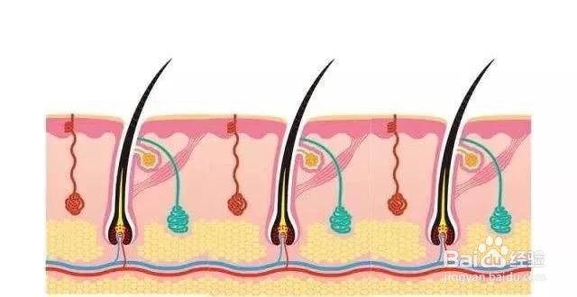 怎样让头发快长