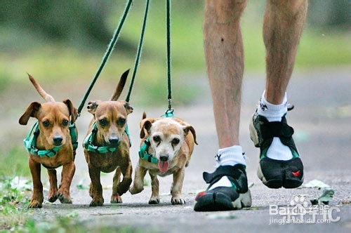 想减肥必须懂的!