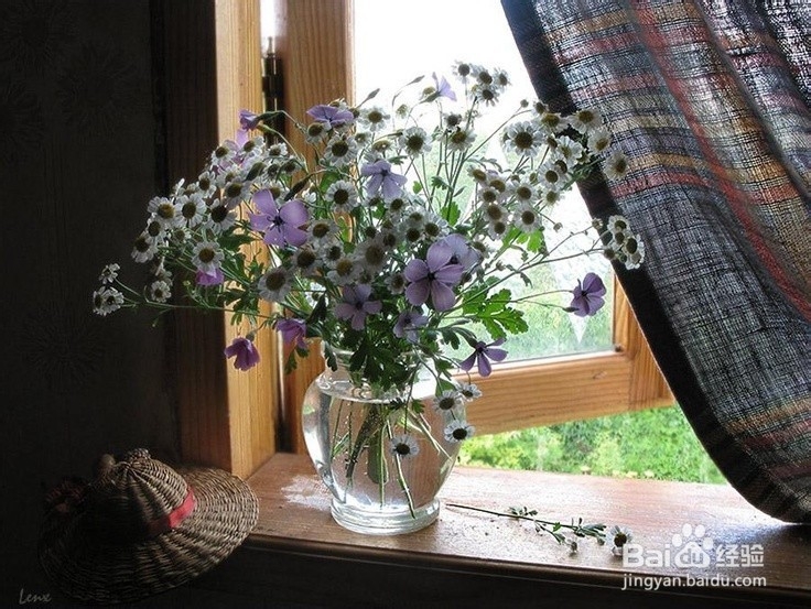 室内空气质量影响身体健康，去除甲醛是关键