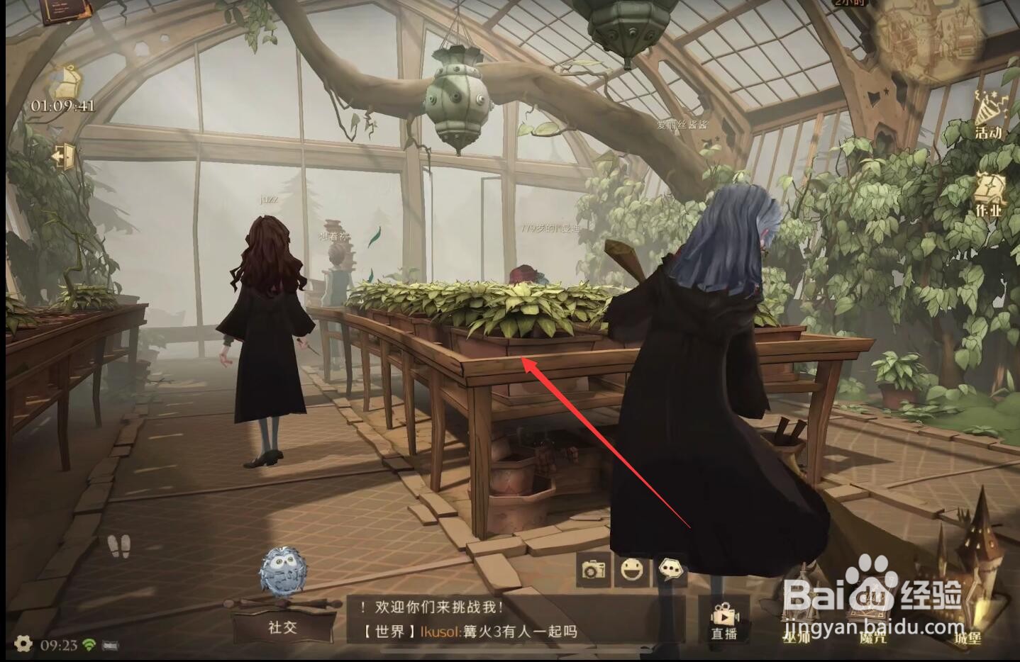 哈利波特魔法觉醒霍格沃茨特别报道完成攻略