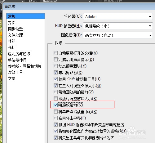PS如何用鼠标滚轮缩放及其快捷键和设置方法