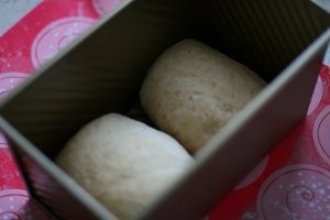 怎么做燕麦橄榄油吐司