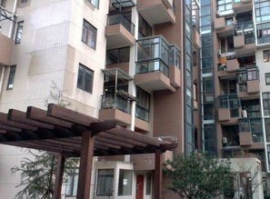 怎么查看大街上的监控