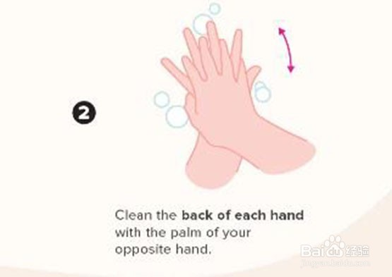 七步洗手法怎么做