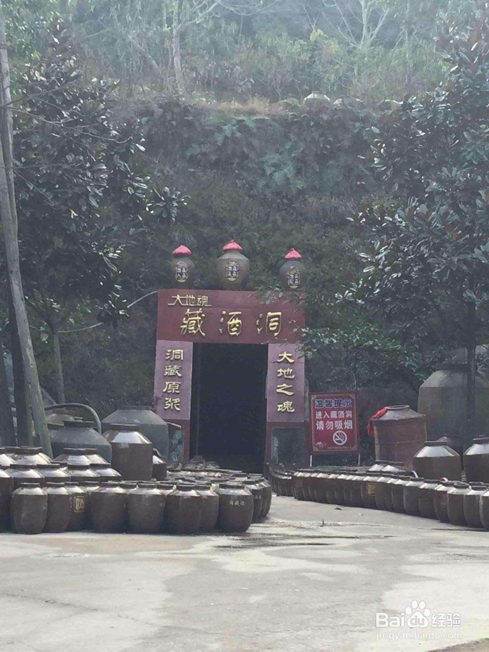 酿“酒”的过程