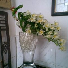 水仙花的种植方法