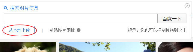 如何找到特定图片？利用百度识图寻找图片