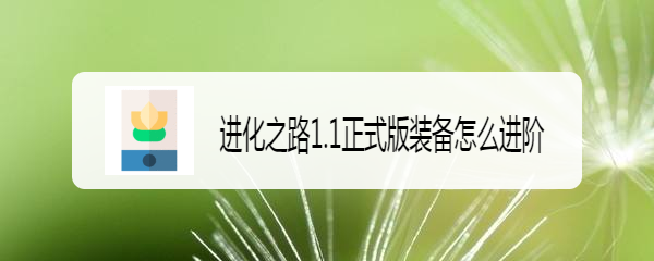 进化之路1.1正式版装备怎么进阶