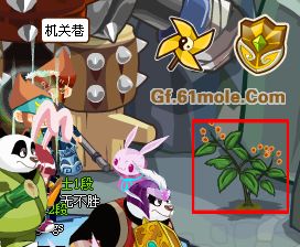 [功夫派]碧露果在哪功夫派碧露丸在哪怎么做