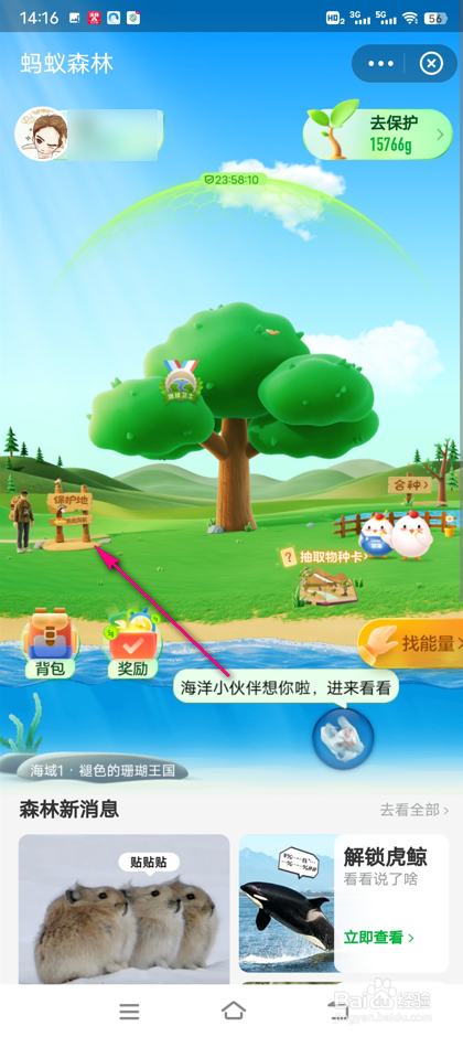 怎么赠送蚂蚁森林神奇物种卡片