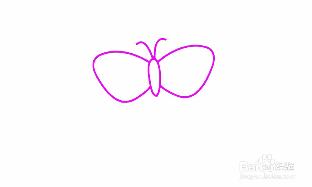 简笔画蝴蝶怎么画