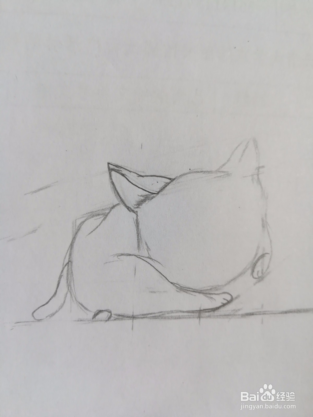 傲娇的小猫画法教程（2）——成型