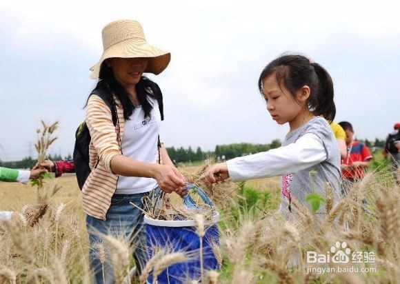 怎样丰富孩子的暑假生活？