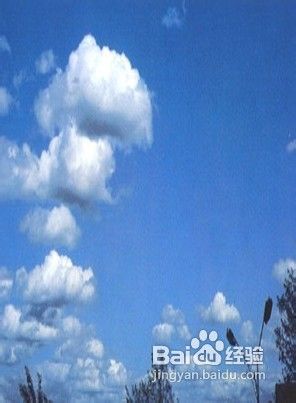 冬季的口腔护理知识有哪些?