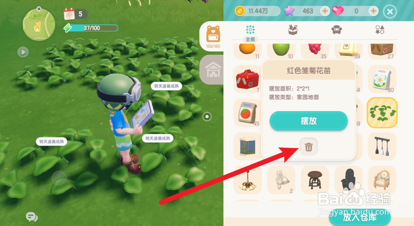 心动小镇怎么丢弃雏菊花苗