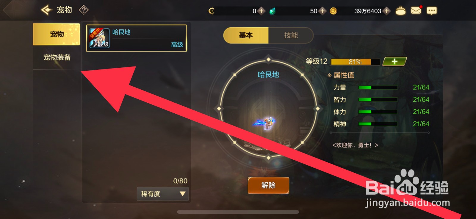 DNF手游怎么佩戴宠物装备