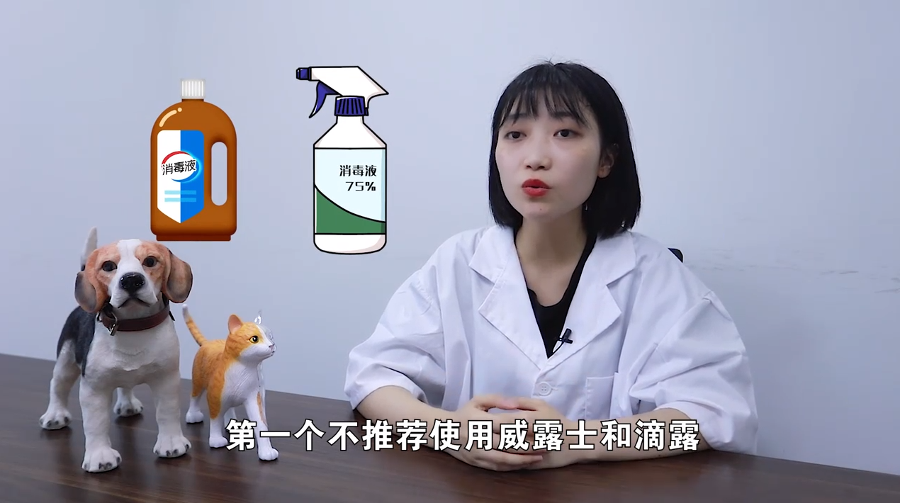 超市里的消毒水对宠物有害吗